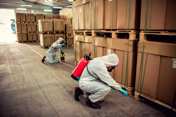Best Wildlife Control Services  in Springdale, PA