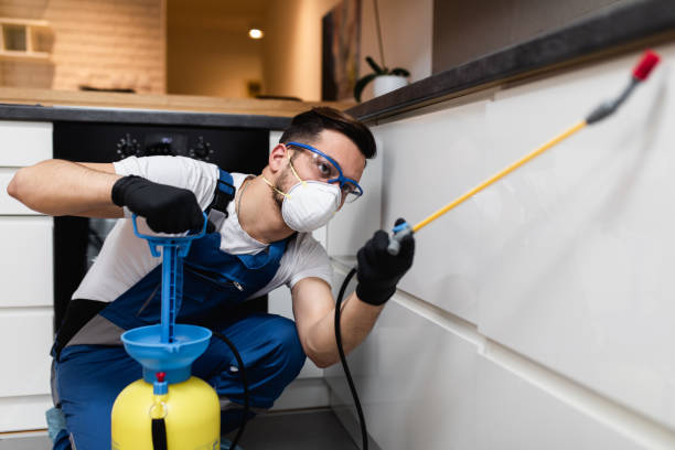 Best Bed Bug Extermination  in Springdale, PA