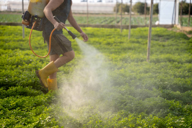 Best Pest Prevention Services  in Springdale, PA