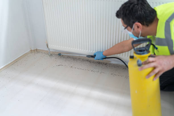 Best Pest Inspection Near Me  in Springdale, PA
